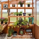 11x7 Poppy Greenhouse - Image 8