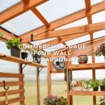 11x7 Poppy Greenhouse - Image 4