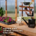 13x11 Bellerose XL Greenhouse - Image 7