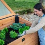 Aggie Cold Frame Box - Image 8