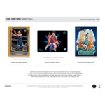 2024/25 Panini One & One Basketball Hobby 10 Box Case - Image 3